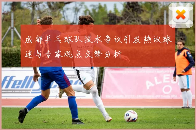 成都乒乓球队技术争议引发热议球迷与专家观点交锋分析