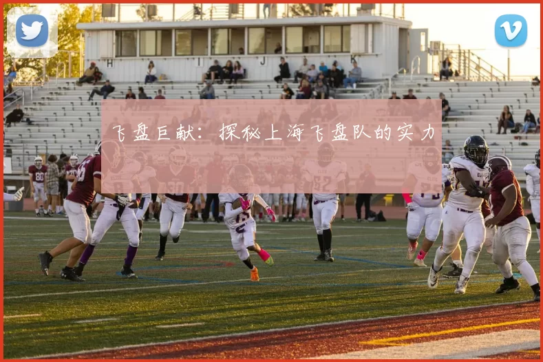 飞盘巨献：探秘上海飞盘队的实力