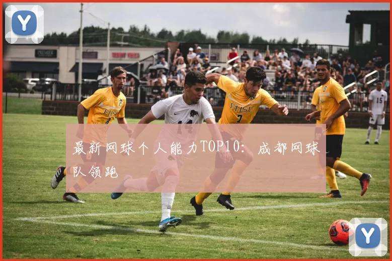 最新网球个人能力TOP10：成都网球队领跑