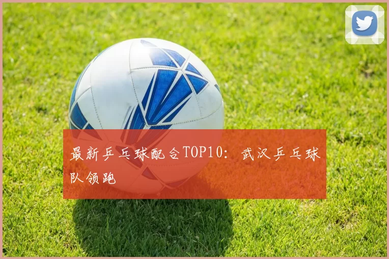 最新乒乓球配合TOP10：武汉乒乓球队领跑