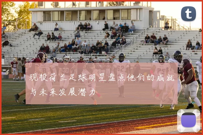 现役荷兰足球明星盘点他们的成就与未来发展潜力