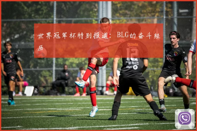 世界冠军杯特别报道：BLG的奋斗经历