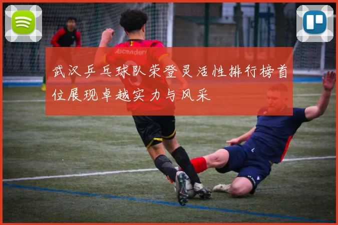 武汉乒乓球队荣登灵活性排行榜首位展现卓越实力与风采